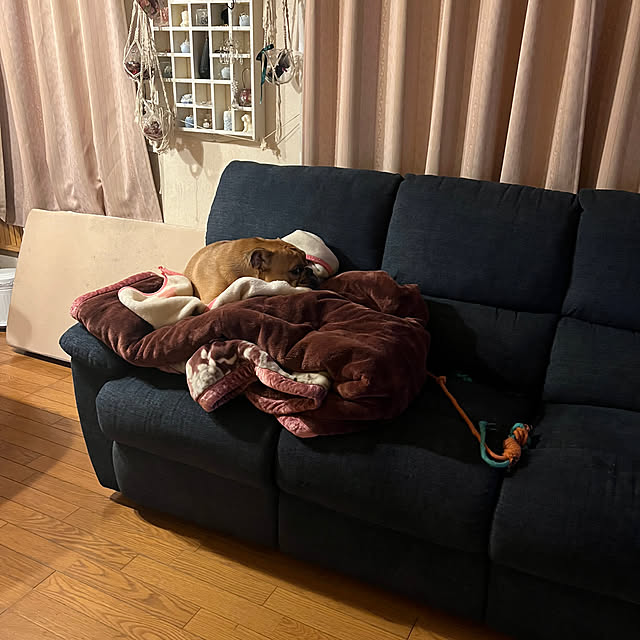 chi_gogaさんの部屋