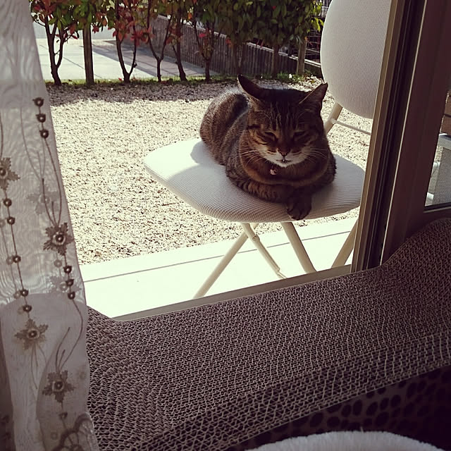 lilyさんの実例写真
