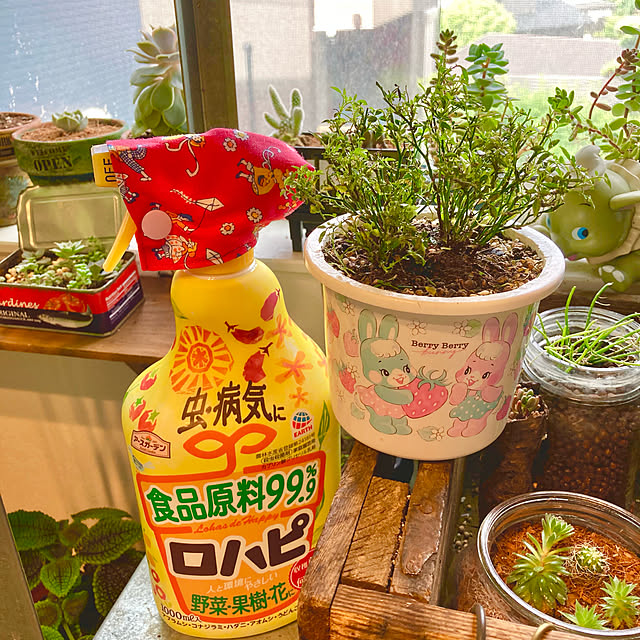 rukakoさんの実例写真