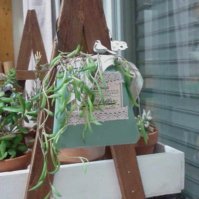 383junkさんの実例写真