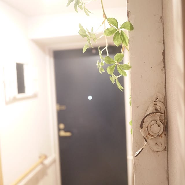 keitanさんの実例写真