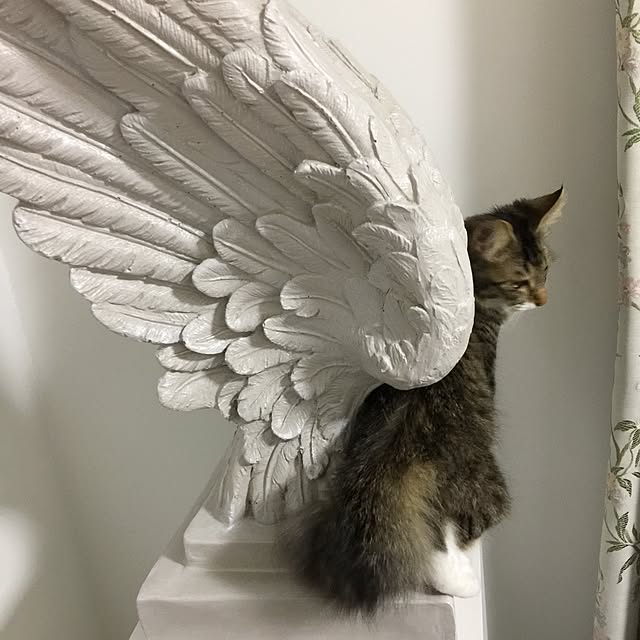 yuchiさんの実例写真