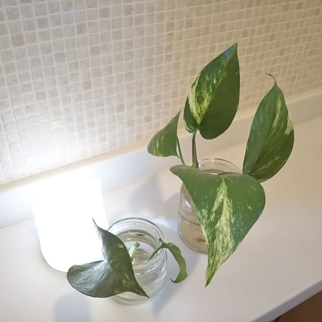 happyさんの部屋