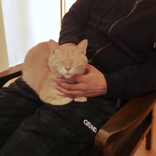 mikan161さんの実例写真