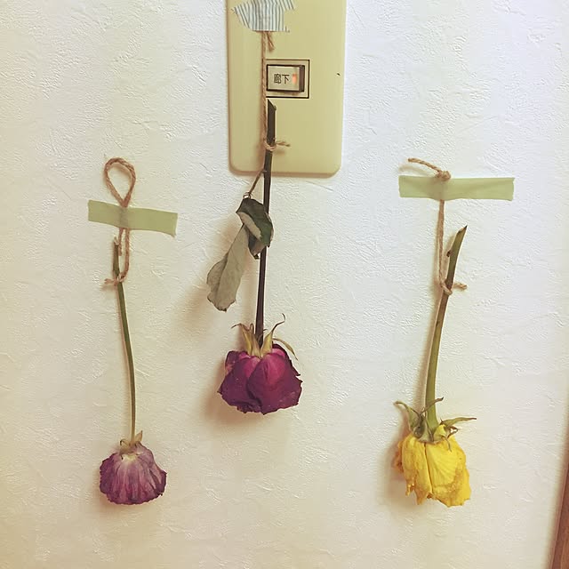 hirominminさんの実例写真