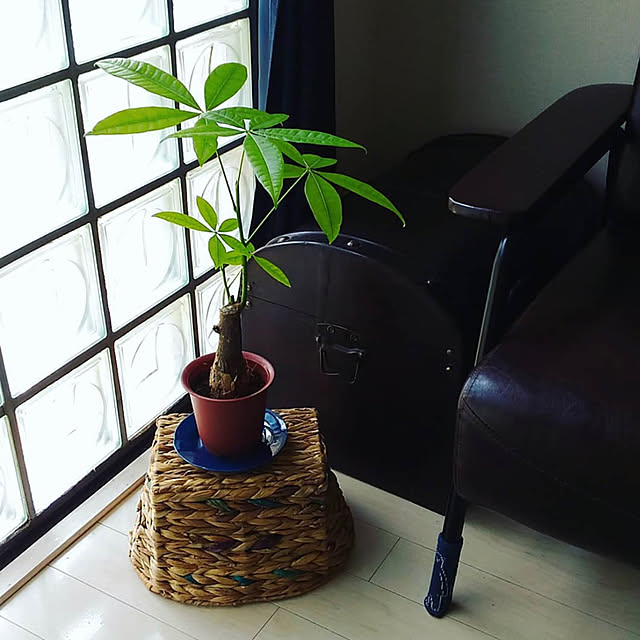 kerahomeさんの実例写真