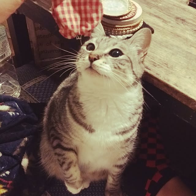 annさんの実例写真