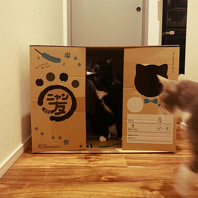 pepperさんの実例写真