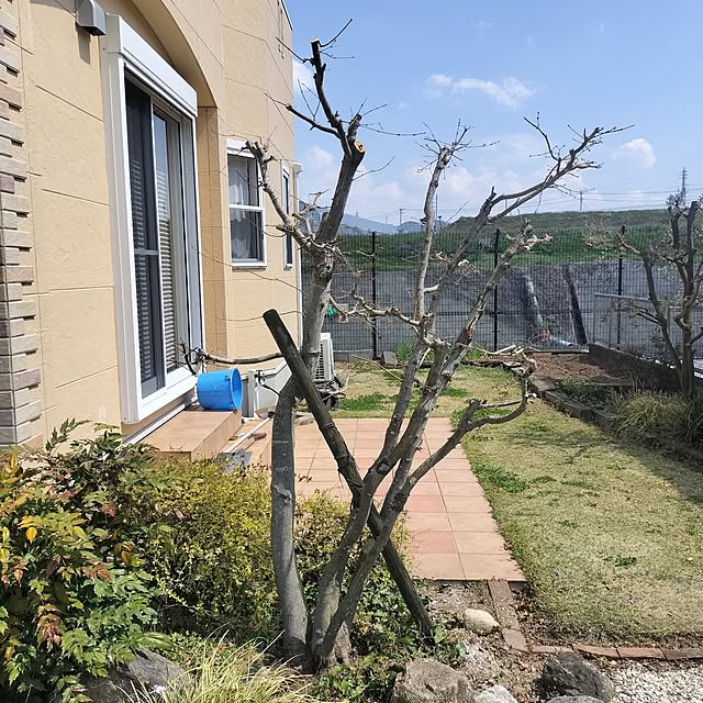 feuileさんの部屋