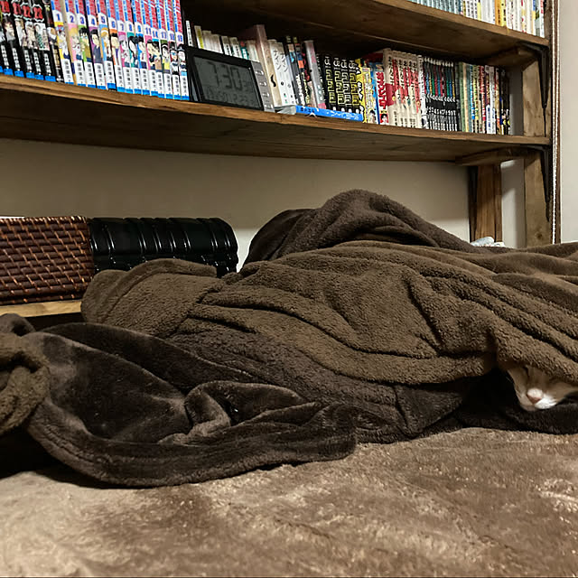 mikan161さんの実例写真