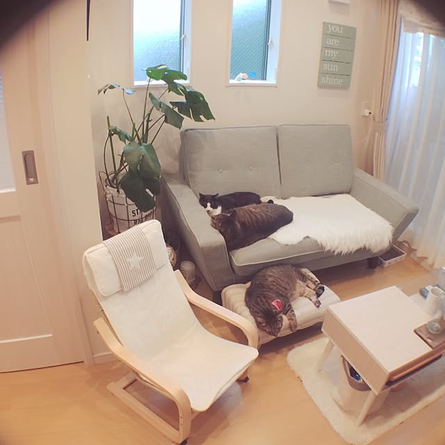 lovecatさんの実例写真