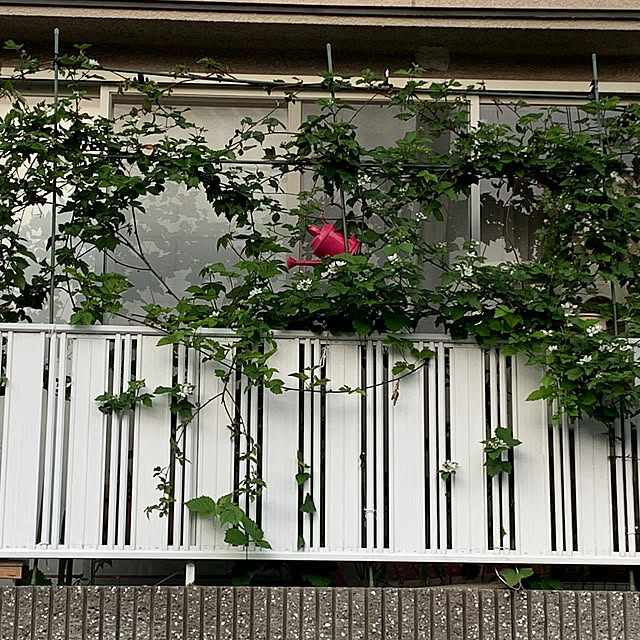 moyuhiさんの実例写真