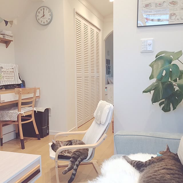 lovecatさんの実例写真