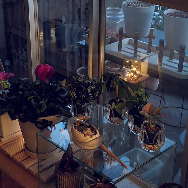 mi-saさんの部屋