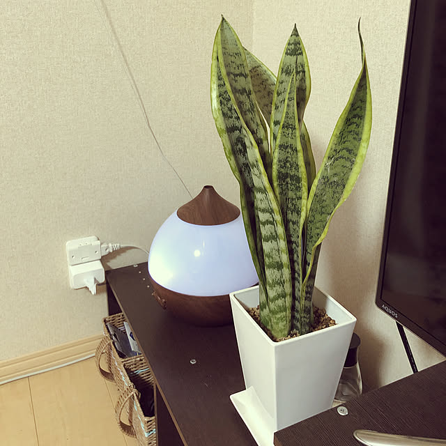 Rinさんの実例写真