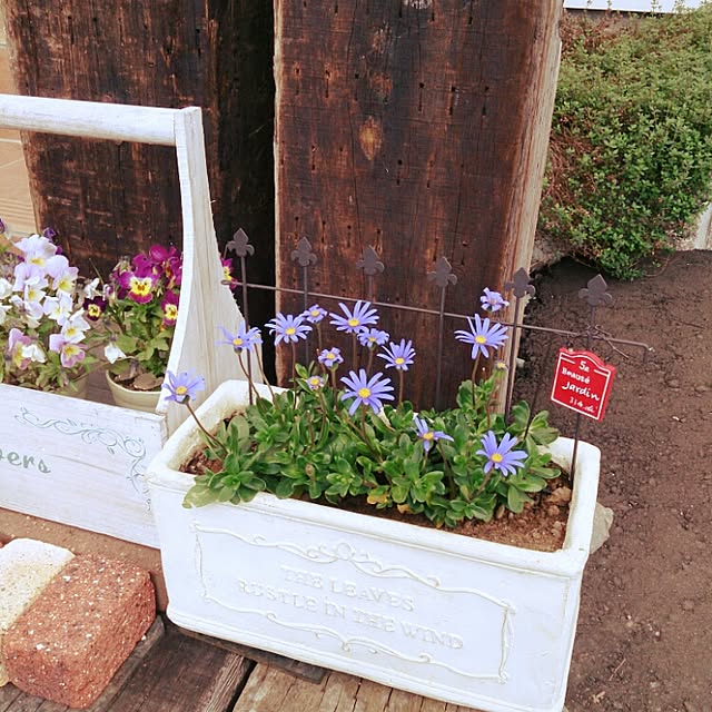 erinkoさんの実例写真