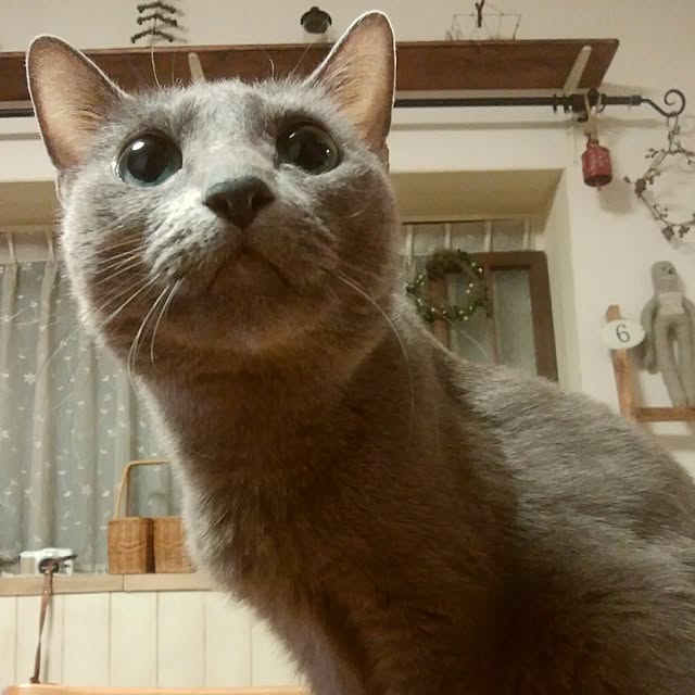 tomo1220さんの実例写真