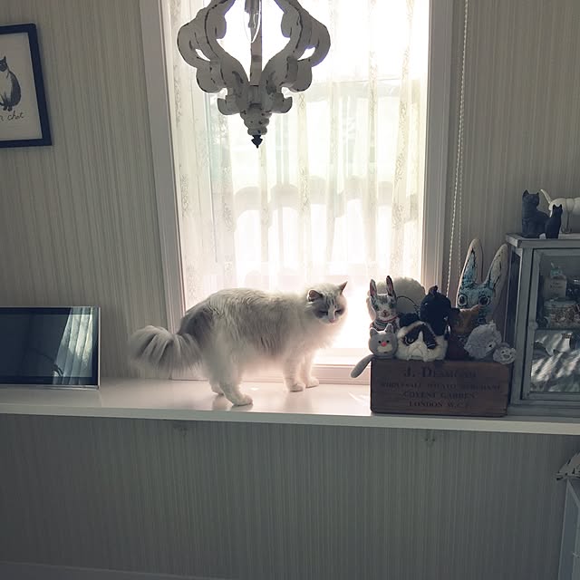 yuchiさんの実例写真