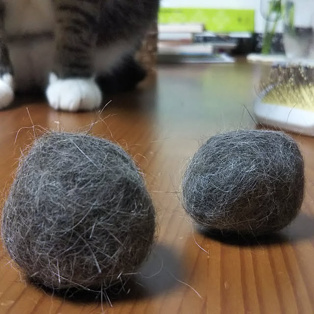 shinoさんの実例写真