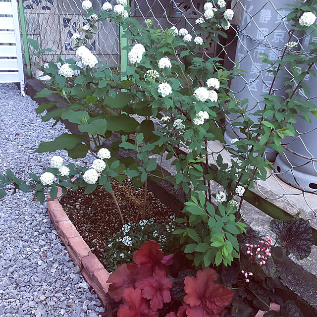 yuyuさんの部屋