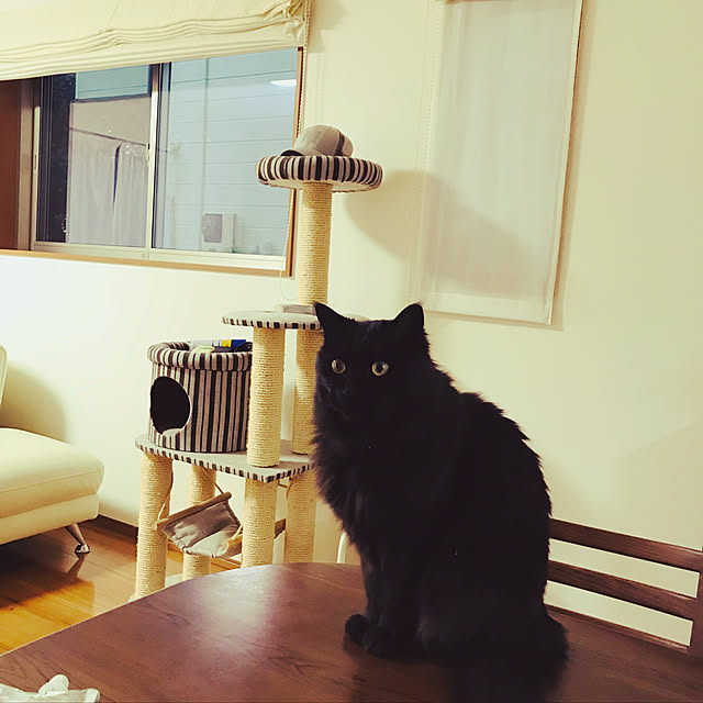 minamiさんの実例写真