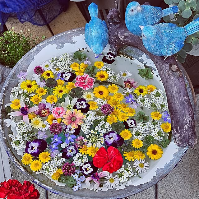 mocomocoさんの実例写真