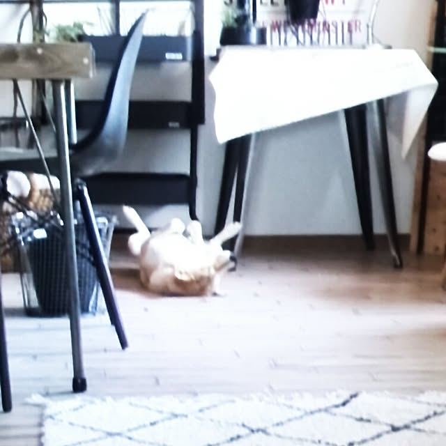 kさんの実例写真