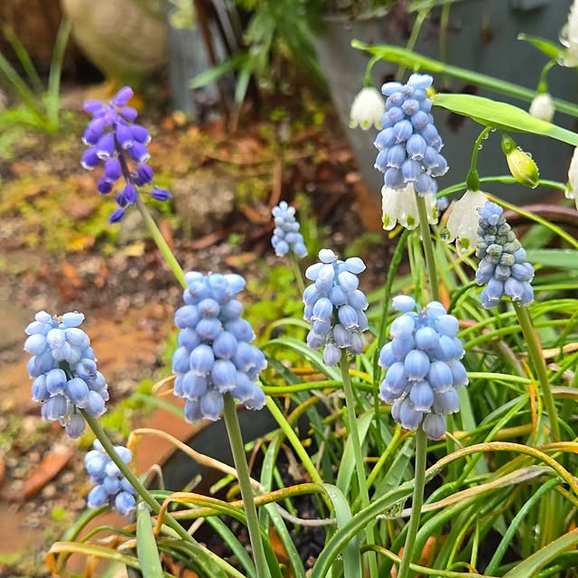 min_nimさんの部屋