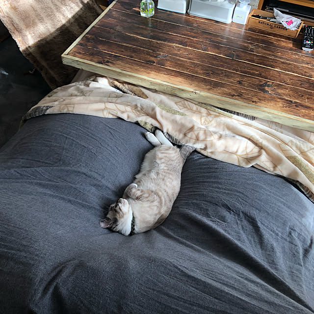 8717さんの実例写真