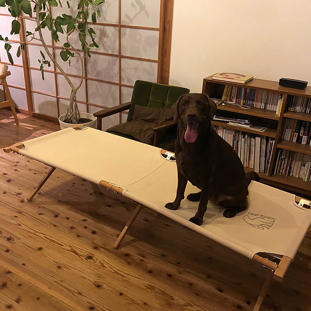 yukikoさんの実例写真