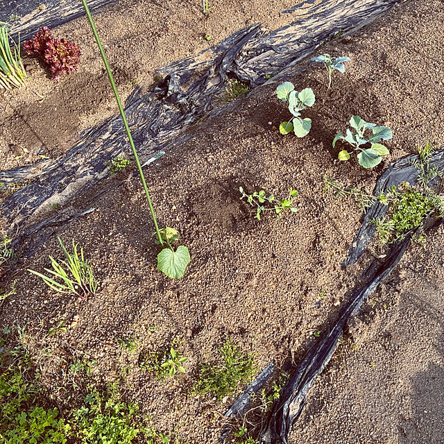 ayayayayaさんの部屋