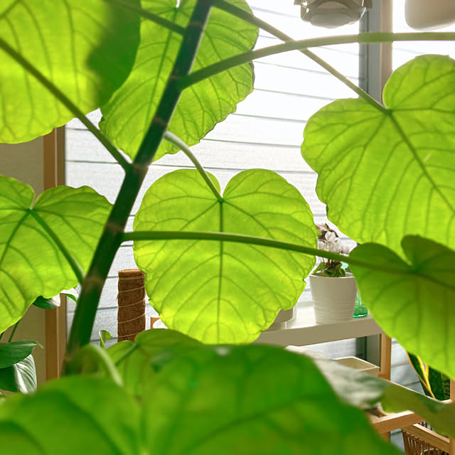 sunabaさんの部屋