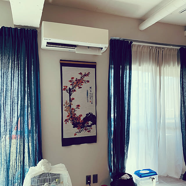 mi-yuさんの実例写真