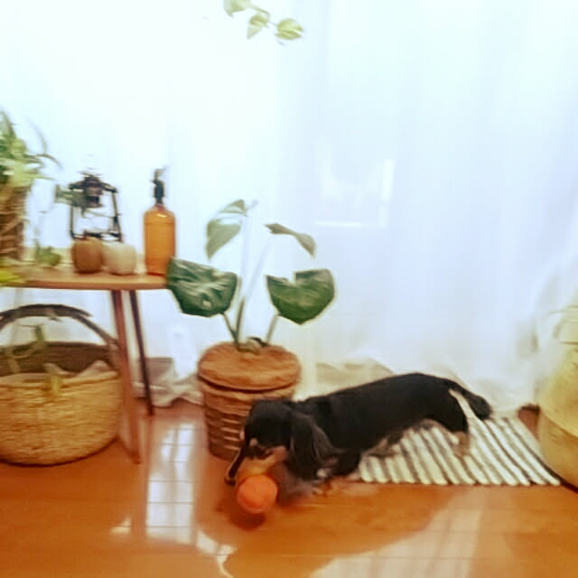 reonさんの実例写真