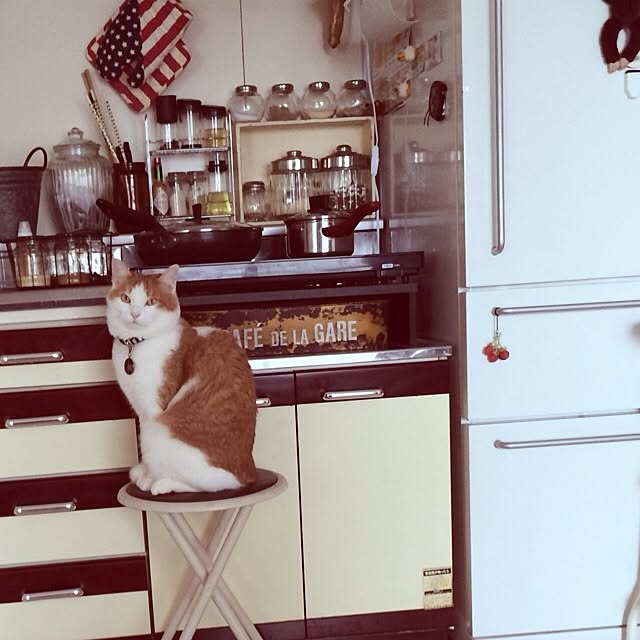 bobooooonさんの実例写真