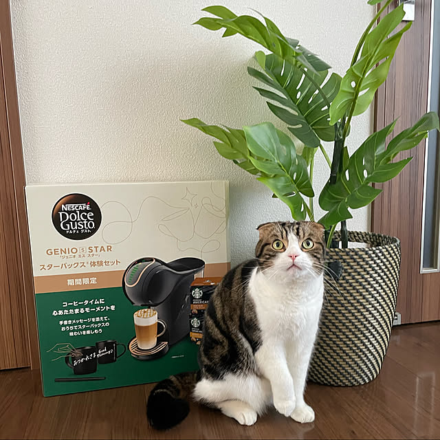 tansukeさんの実例写真