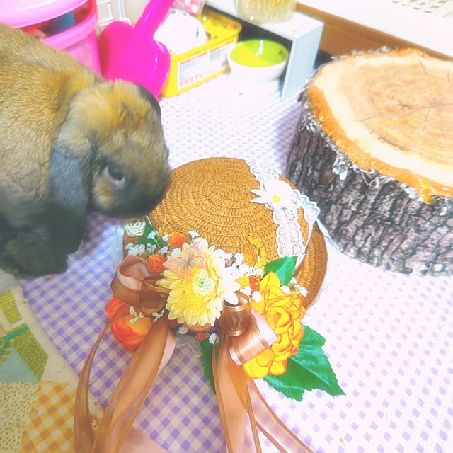 mariaさんの部屋