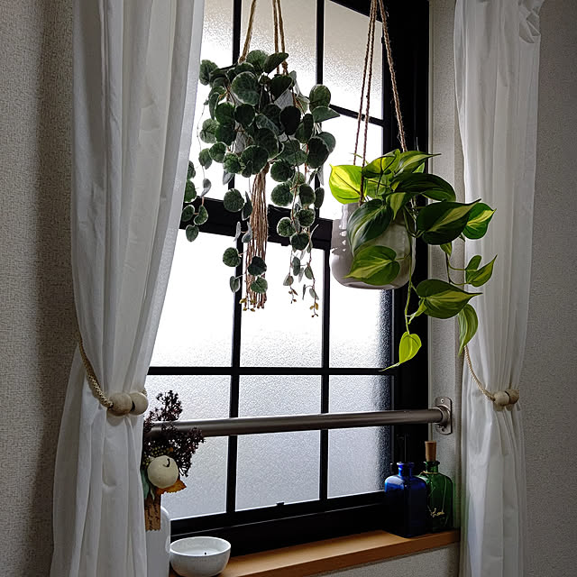megunyさんの実例写真