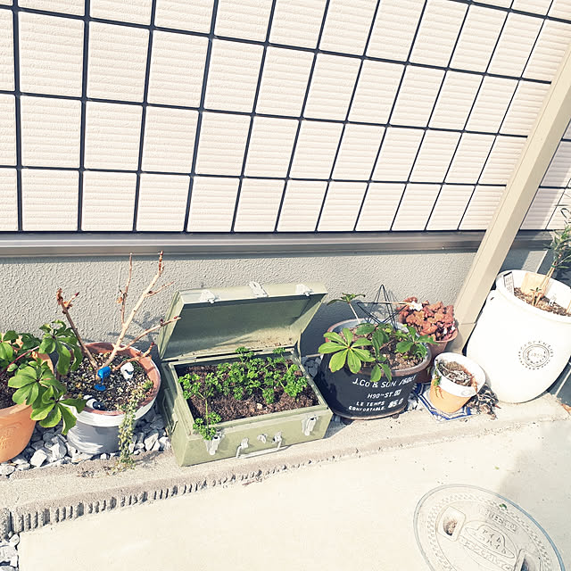 m.coccoさんの実例写真