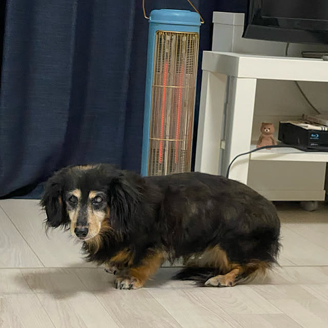 ohanaさんの実例写真