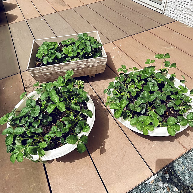 RAKI_Homeさんの実例写真