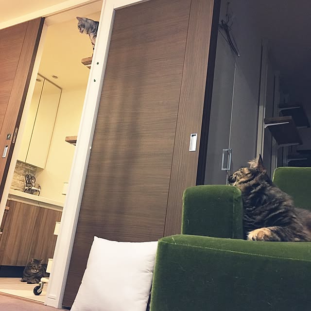 mikomaruさんの実例写真