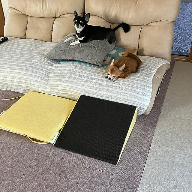 koroさんの部屋