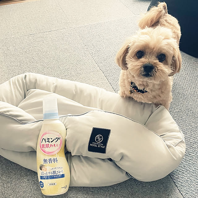 ikt.tamaさんの実例写真