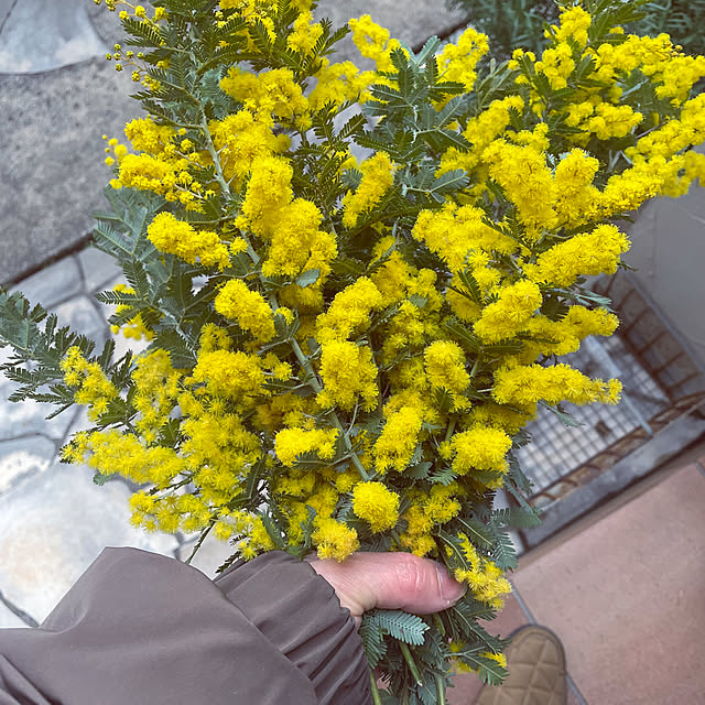 yupponさんの部屋