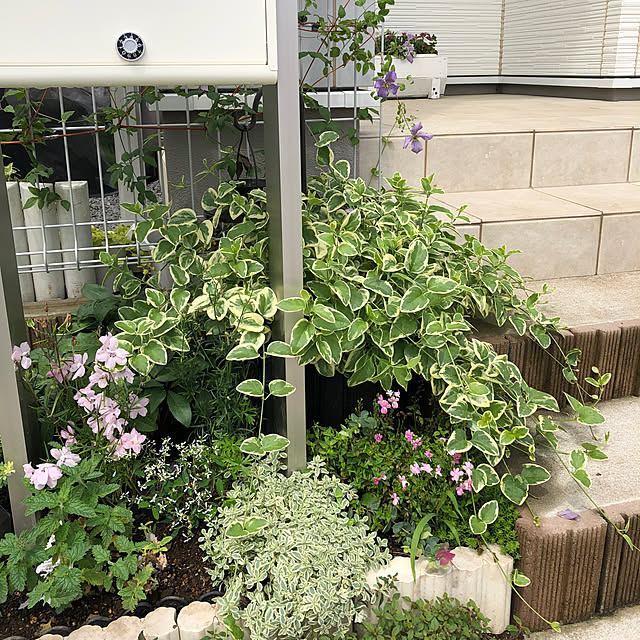 pinkflower_Potagerさんの部屋