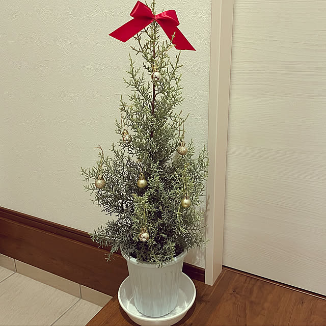 yukimidaifukuさんの実例写真