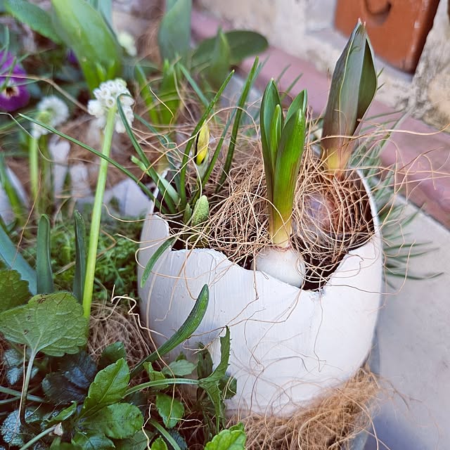 mocomocoさんの部屋