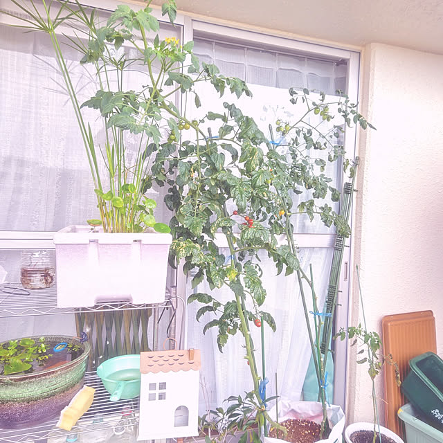 mariaさんの実例写真