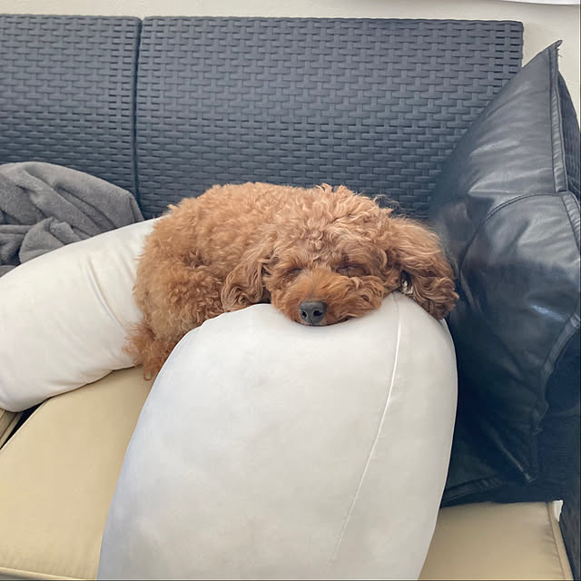 MOMOMAMAさんの実例写真